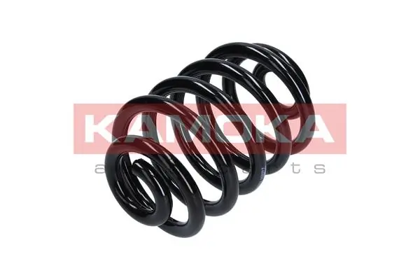 Suspension Spring 2120137