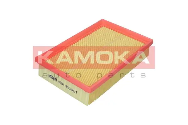 Air Filter F256301