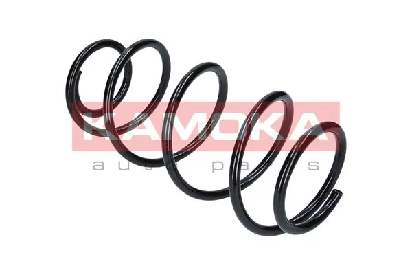 Suspension Spring 2110253