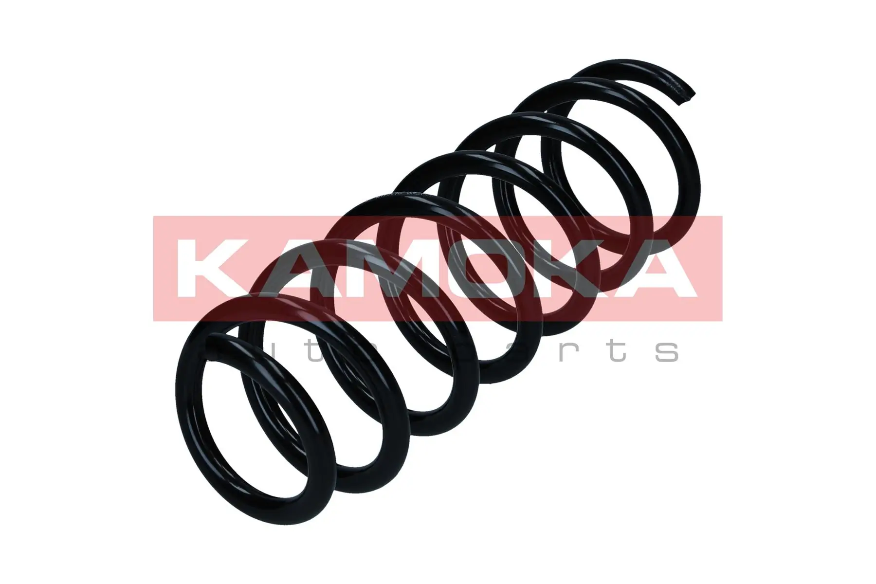 Suspension Spring 2110418