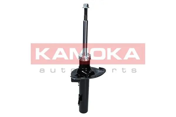 Shock Absorber 2000142