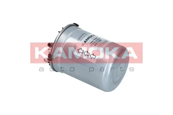 Fuel Filter F317501