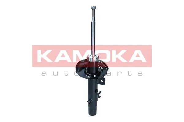 Shock Absorber 2000170