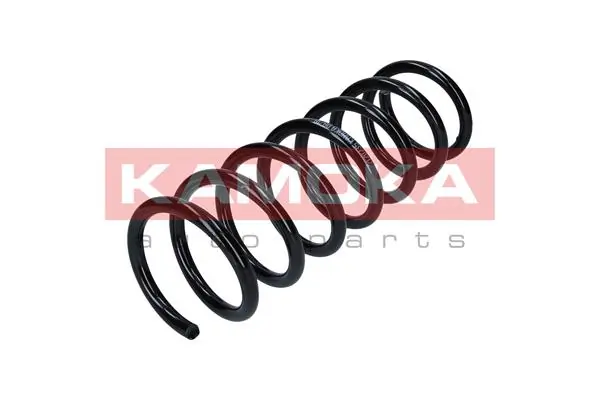 Suspension Spring 2120235