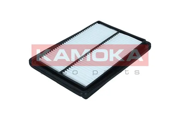 Air Filter F257501