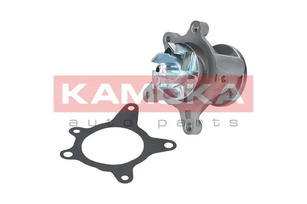 Water Pump, engine cooling T0163