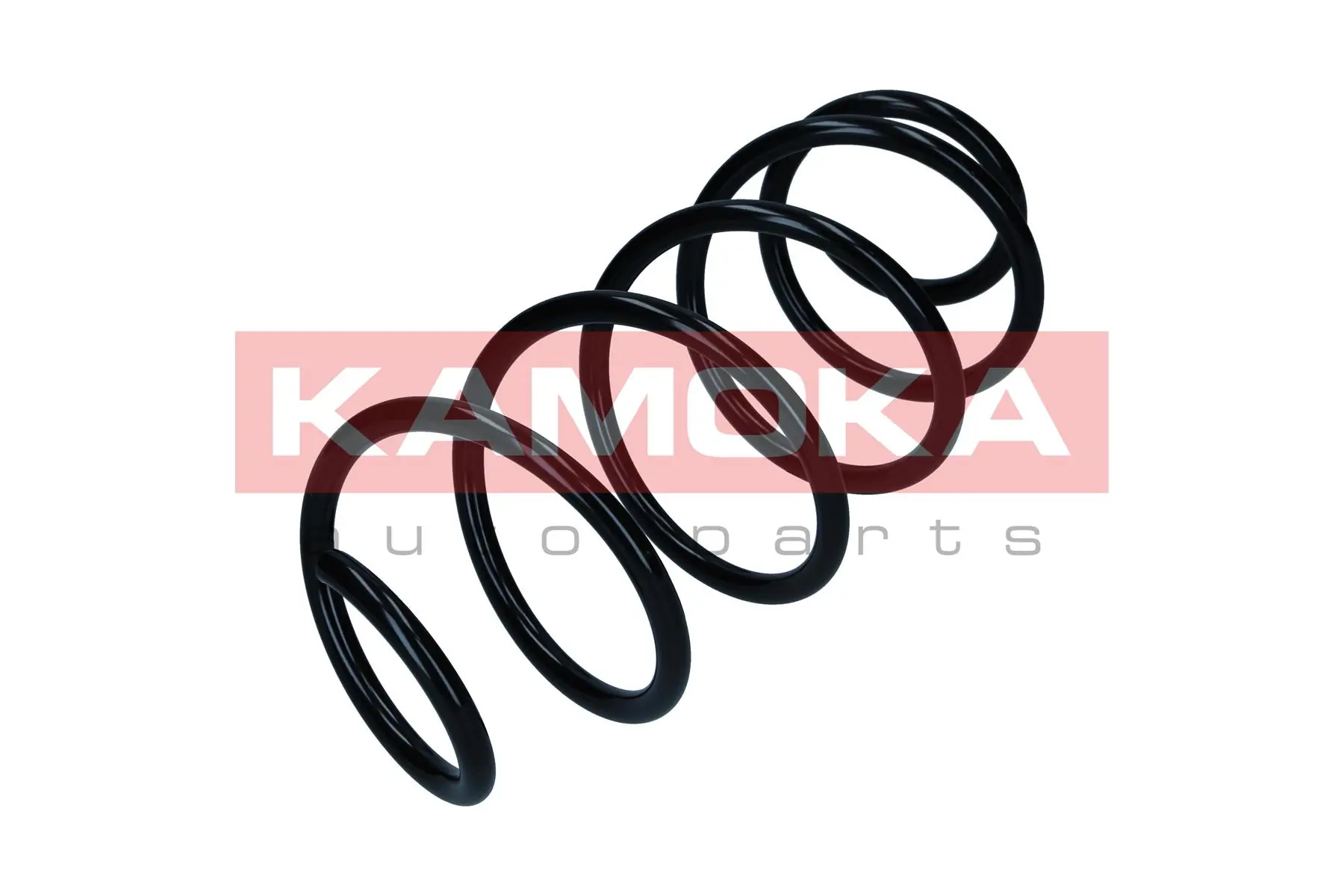 Suspension Spring 2110711