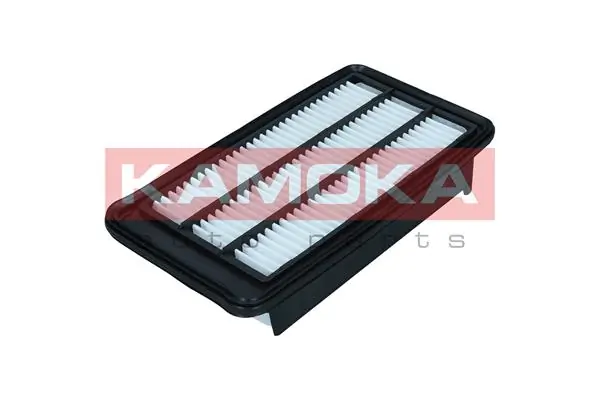 Air Filter F256501