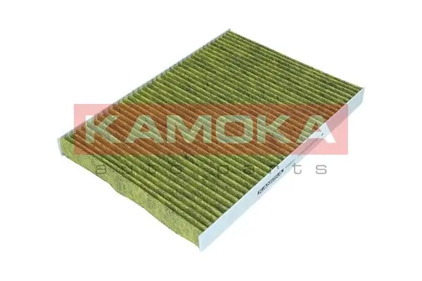 Filter, cabin air 6080028