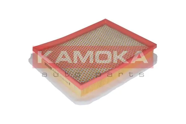 Air Filter F206701