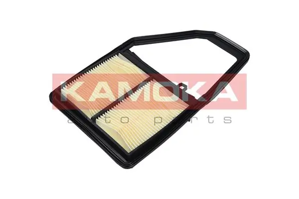 Air Filter F225701