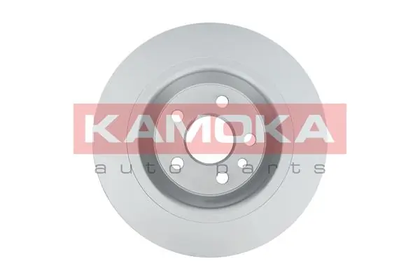 Brake Disc 1031013