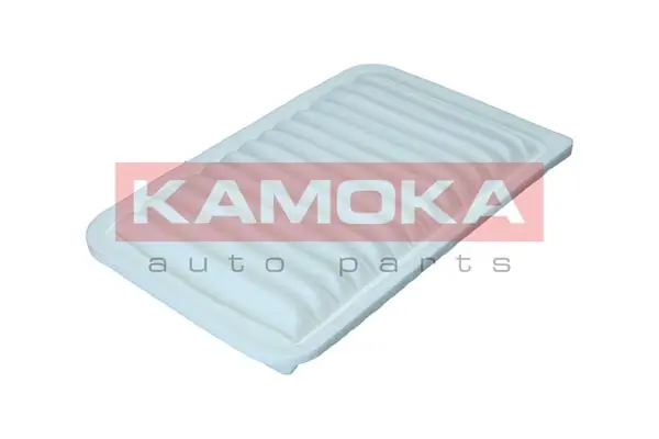 Air Filter F251501