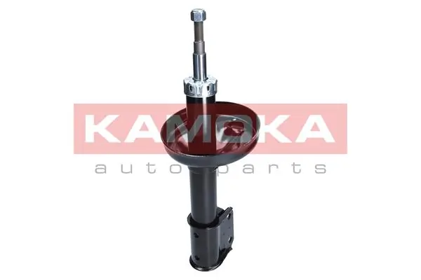Shock Absorber 2001054