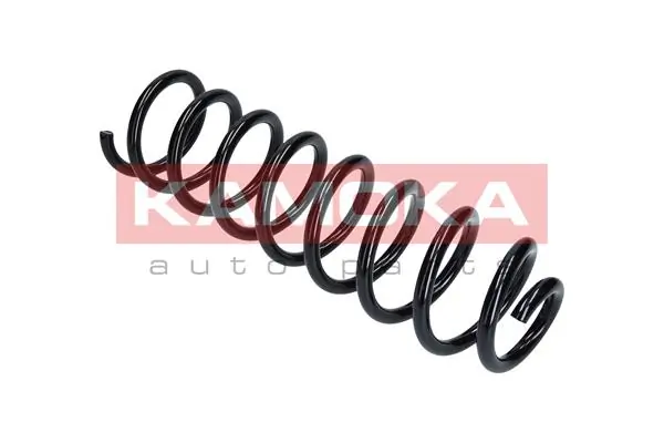 Suspension Spring 2120209