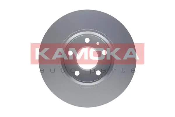 Brake Disc 1032408