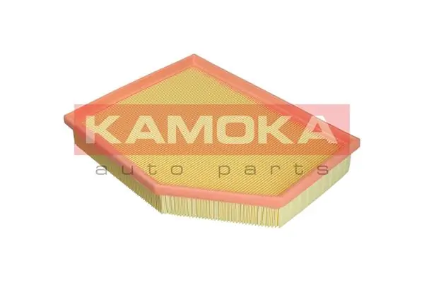 Air Filter F250601
