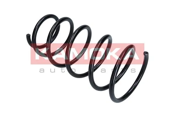 Suspension Spring 2110048