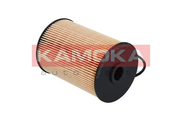 Fuel Filter F307801
