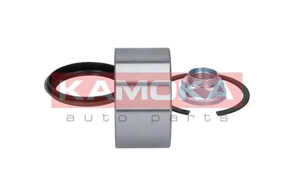 Wheel Bearing Kit 5600018