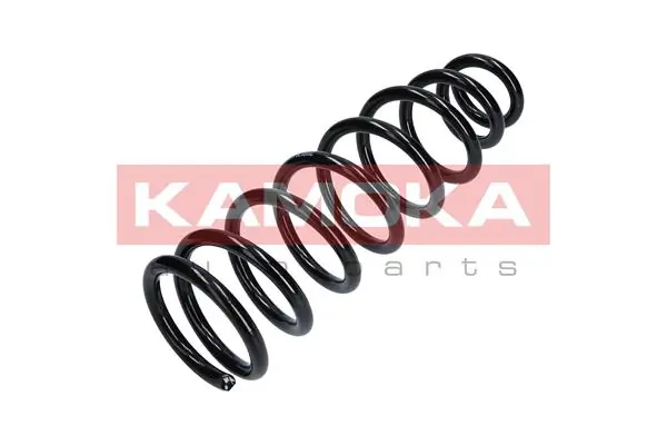 Suspension Spring 2110170