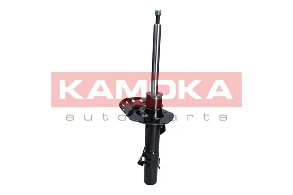 Shock Absorber 2000041