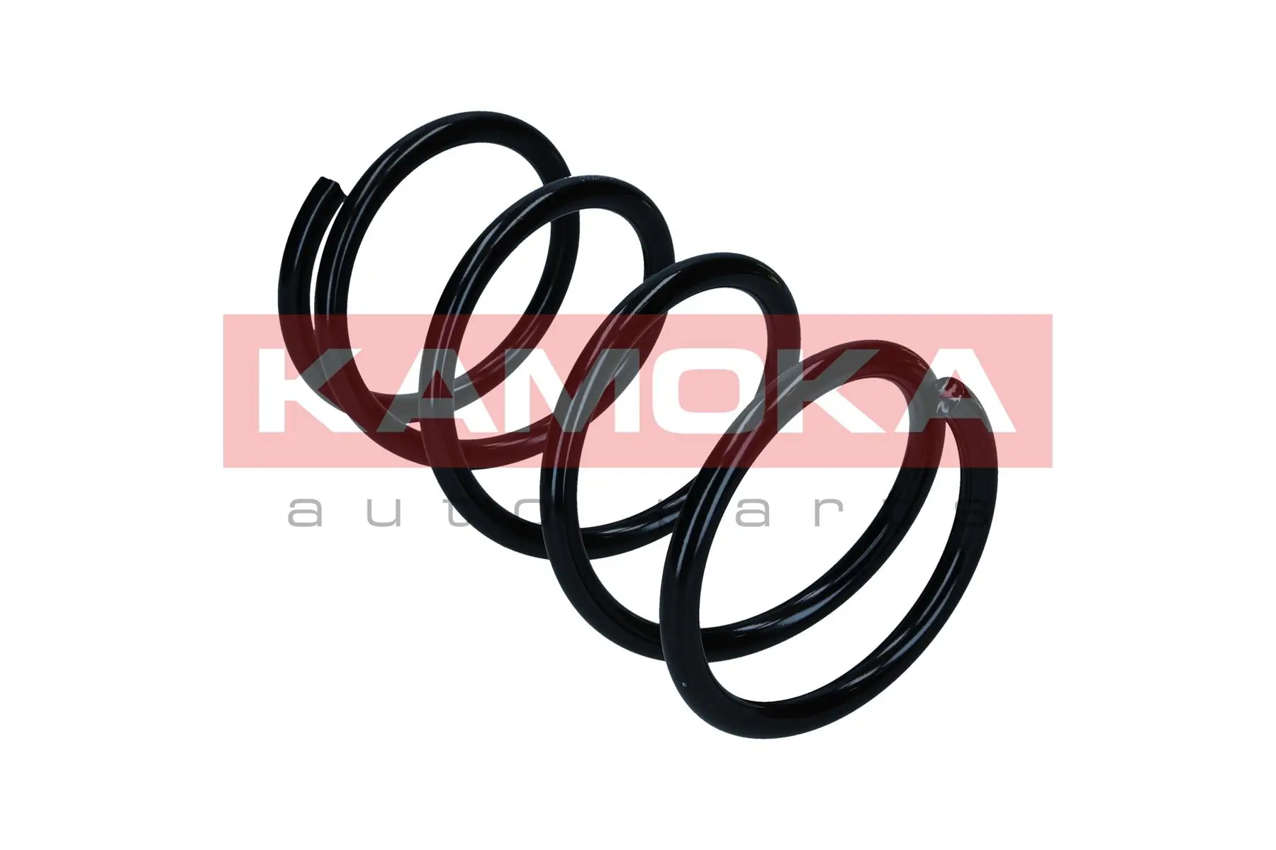 Suspension Spring 2110496