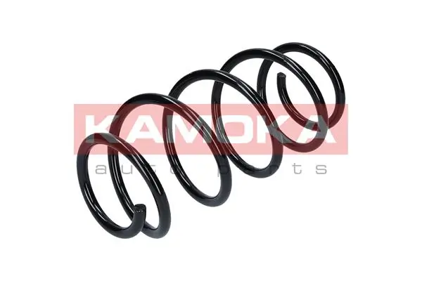 Suspension Spring 2110195