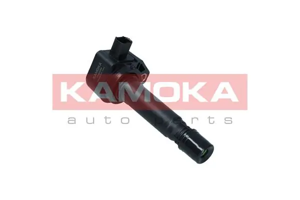 Ignition Coil 7120039