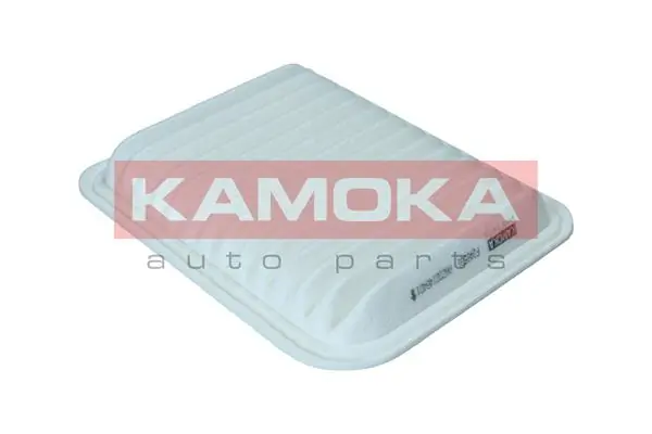 Air Filter F246501