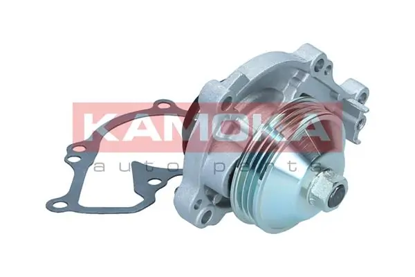 Water Pump, engine cooling T0295
