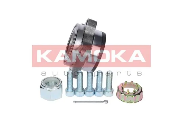 Wheel Bearing Kit 5500129