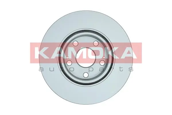 Brake Disc 1031129