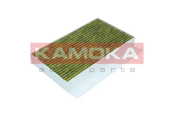 Filter, cabin air 6080064