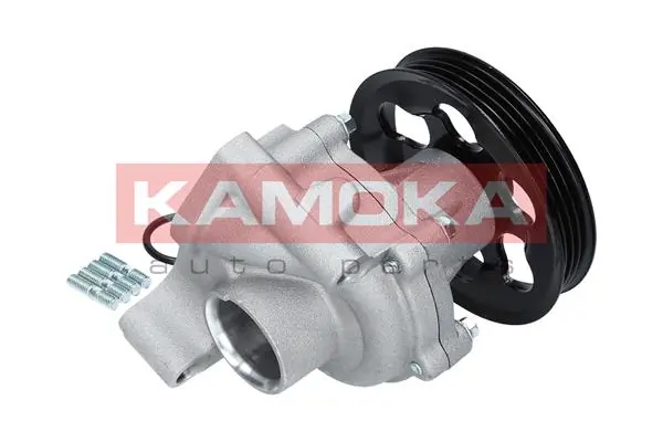 Water Pump, engine cooling T0266