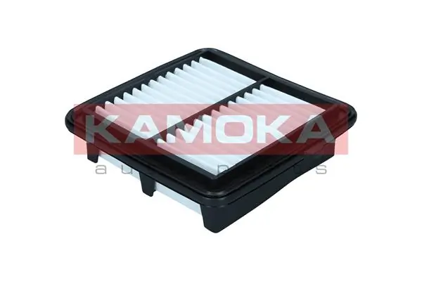 Air Filter F256601