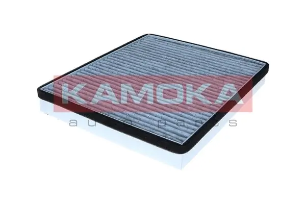 Filter, cabin air F526201