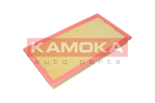 Air Filter F258301