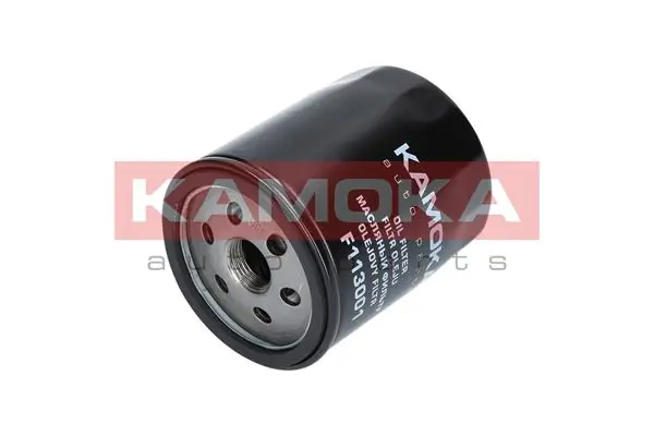 Oil Filter F113001