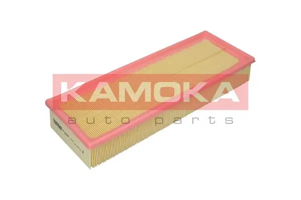 Air Filter F229001