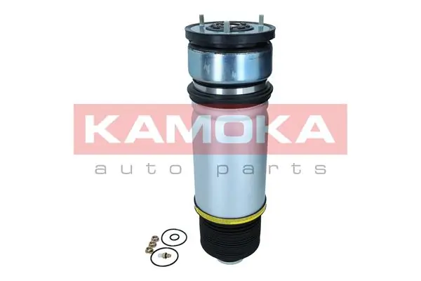 Air Spring, suspension 2079019