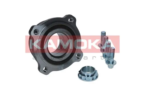 Wheel Bearing Kit 5500187