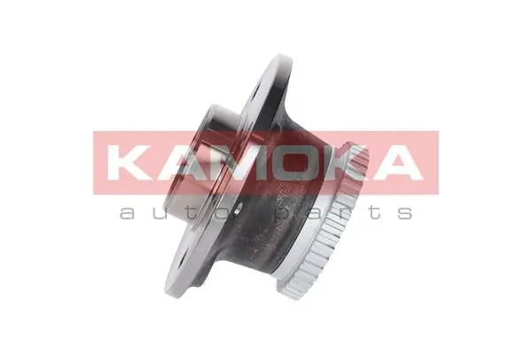 Wheel Bearing Kit 5500008
