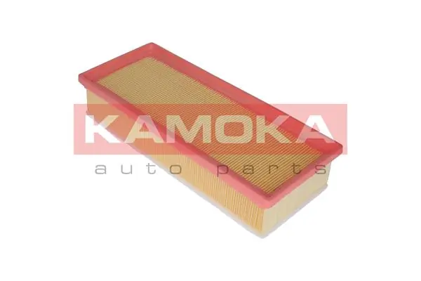 Air Filter F229801