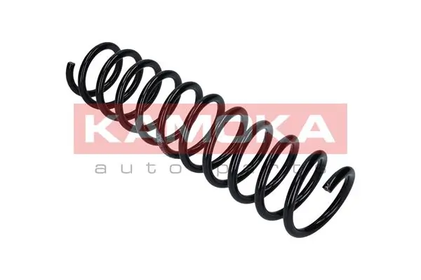 Suspension Spring 2120236