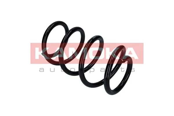 Suspension Spring 2110307