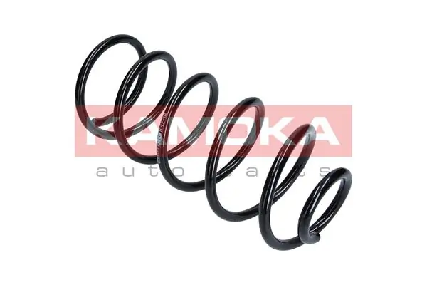 Suspension Spring 2110099