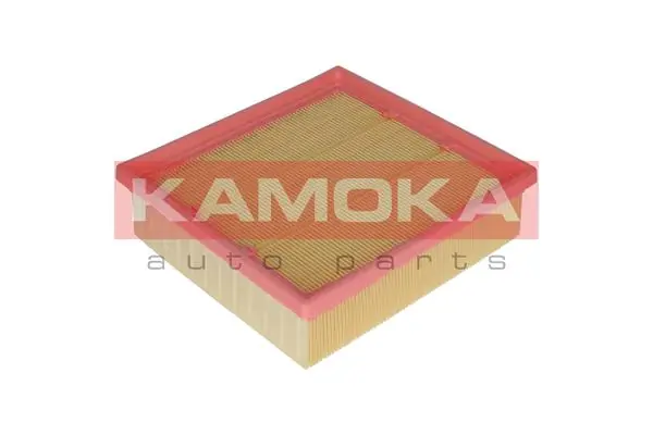 Air Filter F222001