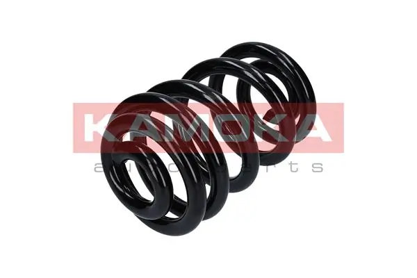 Suspension Spring 2120254
