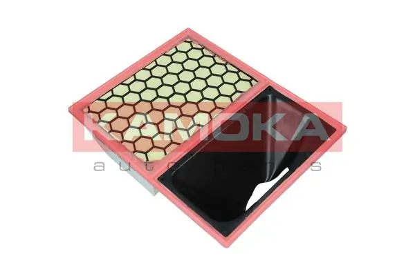 Air Filter F253501